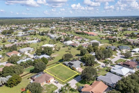 Terrain à vendre à Punta Gorda, Floride № 923530 - photo 6