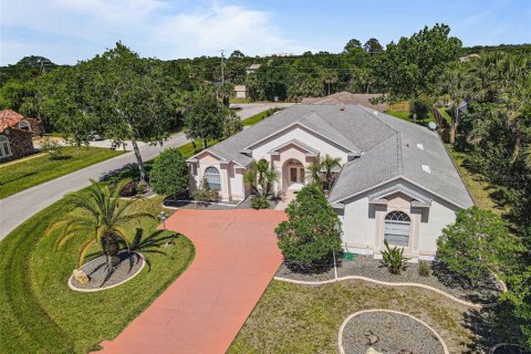 Villa ou maison à vendre à Palm Coast, Floride: 3 chambres, 288.46 m2 № 465134 - photo 1