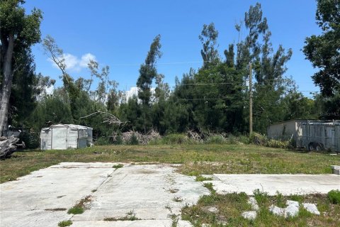 Terrain à vendre à Punta Gorda, Floride № 1195174 - photo 7