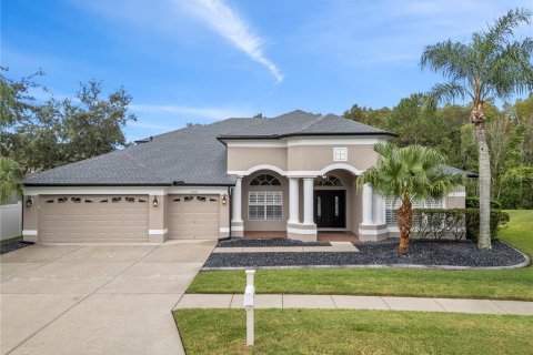 Villa ou maison à vendre à Wesley Chapel, Floride: 5 chambres, 361.48 m2 № 1382530 - photo 1