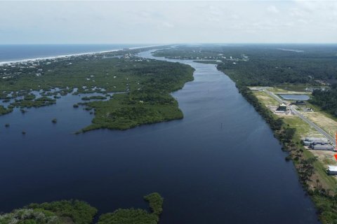 Land in Flagler Beach, Florida № 1368063 - photo 3