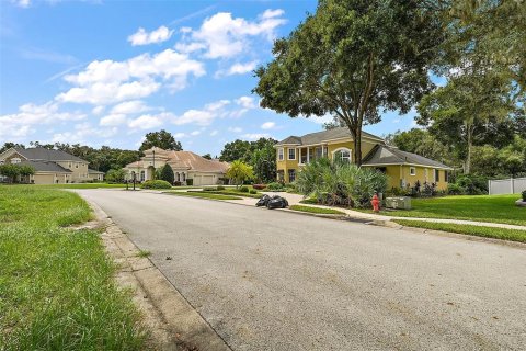 Land in Leesburg, Florida № 1368468 - photo 4