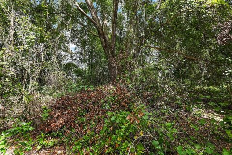 Land in Leesburg, Florida № 1368468 - photo 6