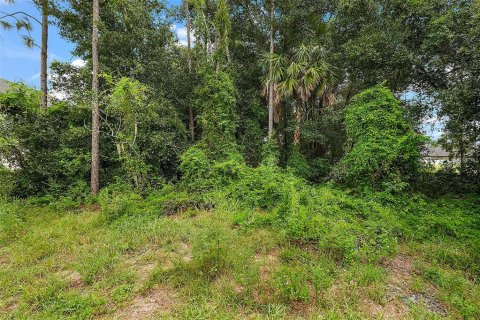 Terreno en venta en Leesburg, Florida № 1368468 - foto 2