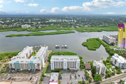 Condo in Indian Shores, Florida, 3 bedrooms  № 1368160 - photo 3