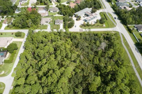 Terrain à vendre à Palm Coast, Floride № 1369551 - photo 4