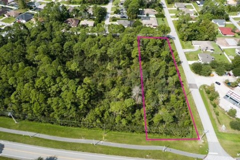 Terreno en venta en Palm Coast, Florida № 1369551 - foto 2