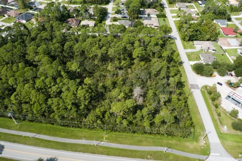 Terreno en venta en Palm Coast, Florida № 1369551 - foto 7