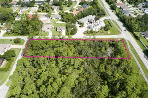 Land in Palm Coast, Florida № 1369551 - photo 10