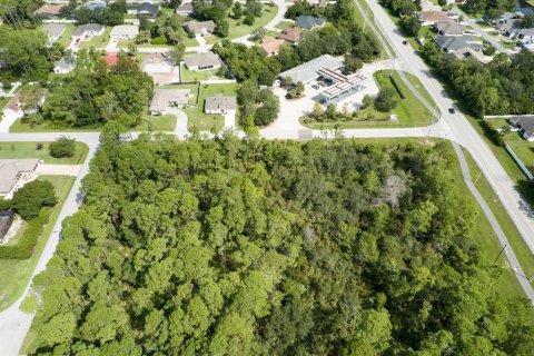 Terreno en venta en Palm Coast, Florida № 1369551 - foto 3