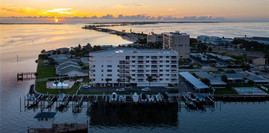 Condo à Dunedin, Floride, 3 chambres  № 1368580