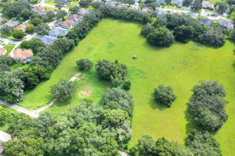 Terreno en venta en Dover, Florida № 1366176 - foto 12