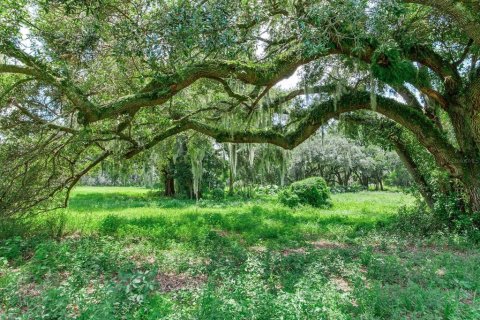 Terreno en venta en Dover, Florida № 1366176 - foto 9