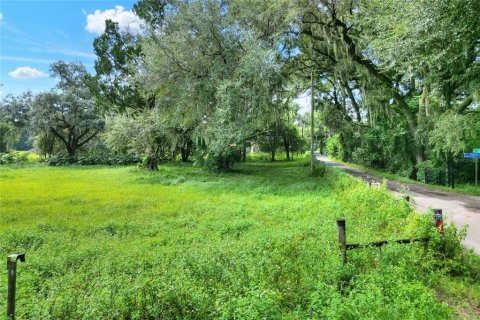 Land in Dover, Florida № 1366176 - photo 11