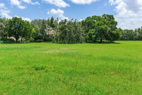 Land in Dover, Florida № 1366176 - photo 4