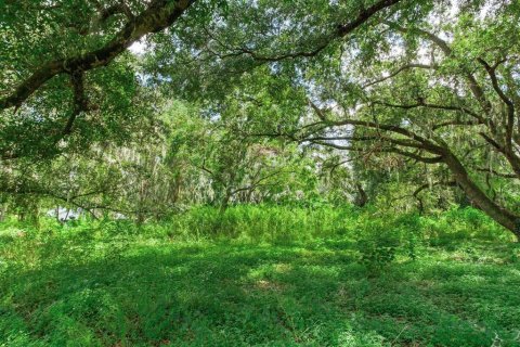 Terrain à vendre à Dover, Floride № 1366176 - photo 6