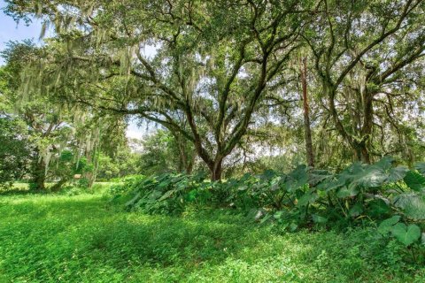 Terreno en venta en Dover, Florida № 1366176 - foto 10