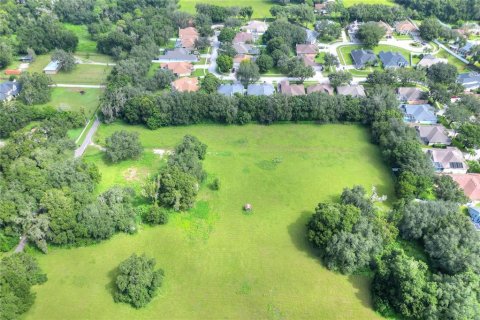 Land in Dover, Florida № 1366176 - photo 13