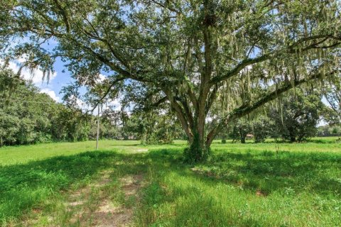 Land in Dover, Florida № 1366176 - photo 2