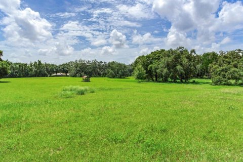 Land in Dover, Florida № 1366176 - photo 5