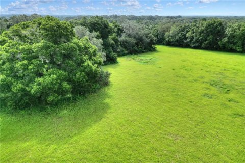 Land in Valrico, Florida № 1366177 - photo 16