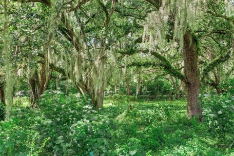 Land in Valrico, Florida № 1366177 - photo 7