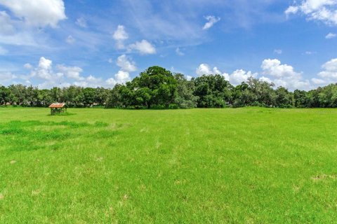 Terreno en venta en Valrico, Florida № 1366177 - foto 8