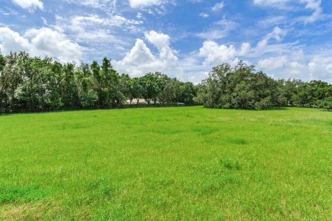 Terrain à vendre à Valrico, Floride № 1366177 - photo 5