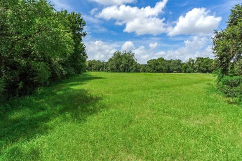 Terrain à vendre à Valrico, Floride № 1366177 - photo 4