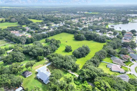 Land in Valrico, Florida № 1366177 - photo 11