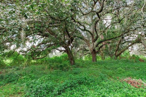 Land in Valrico, Florida № 1366177 - photo 3