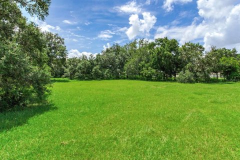 Land in Valrico, Florida № 1366177 - photo 10