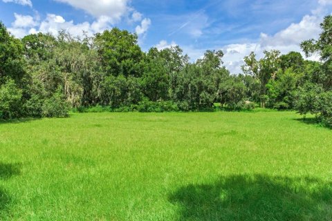 Terreno en venta en Valrico, Florida № 1366177 - foto 9