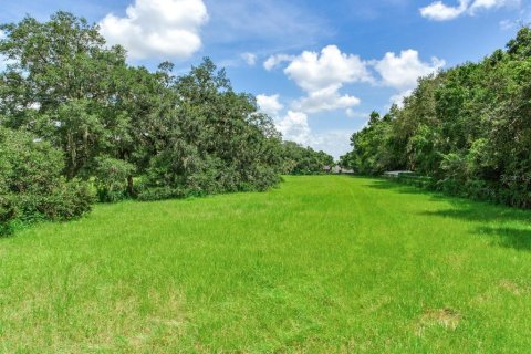 Land in Valrico, Florida № 1366177 - photo 6