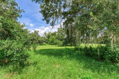 Land in Valrico, Florida № 1366177 - photo 2