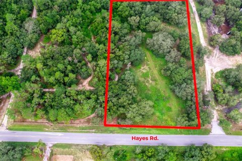 Terreno en venta en Spring Hill, Florida № 1298470 - foto 4