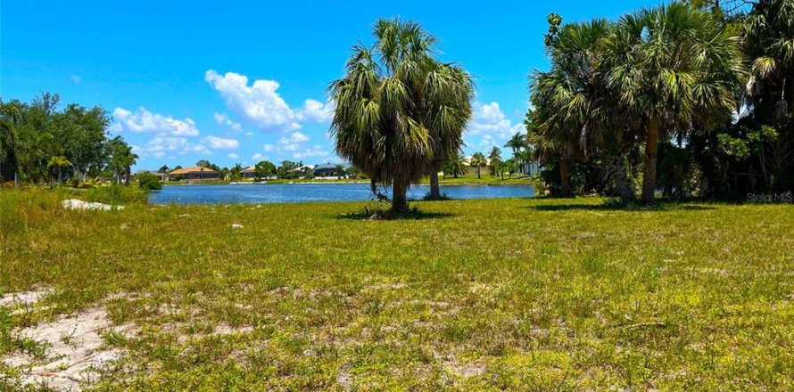 Terrain à Punta Gorda, Floride № 1373210