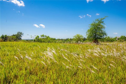 Terreno en venta en Brooksville, Florida № 1373178 - foto 5