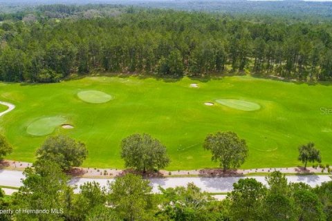 Land in Brooksville, Florida № 1373178 - photo 27