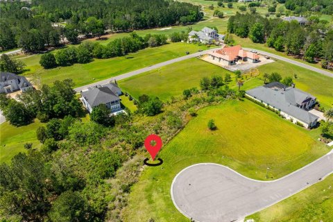 Terreno en venta en Brooksville, Florida № 1373178 - foto 11