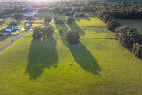 Land in Ocala, Florida № 1405663 - photo 1