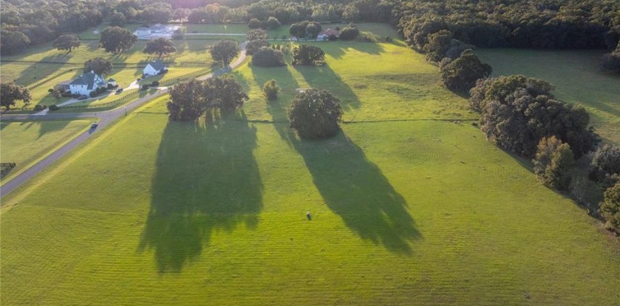 Terrain à Ocala, Floride № 1405663