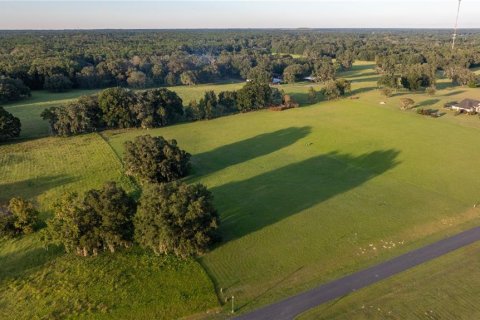 Terrain à vendre à Ocala, Floride № 1405663 - photo 5