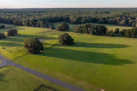 Terrain à vendre à Ocala, Floride № 1405663 - photo 6