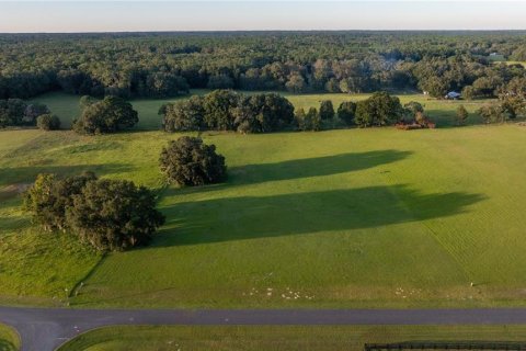 Terrain à vendre à Ocala, Floride № 1405663 - photo 4