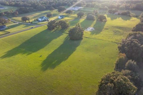 Terreno en venta en Ocala, Florida № 1405663 - foto 7