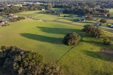 Terreno en venta en Ocala, Florida № 1405663 - foto 9