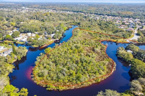 Land in New Port Richey, Florida № 1314366 - photo 10