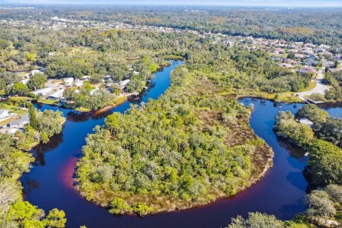 Land in New Port Richey, Florida № 1314366 - photo 1