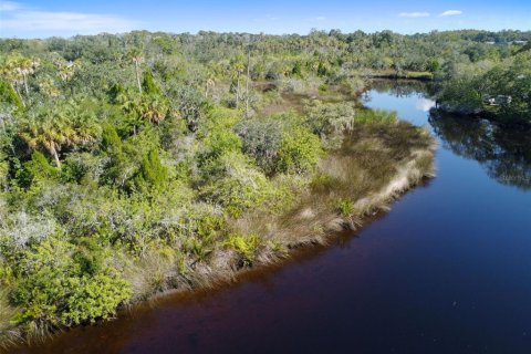 Land in New Port Richey, Florida № 1314366 - photo 25